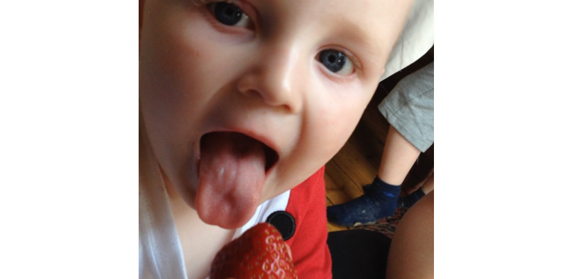Little boy licking a strawberry for the first time